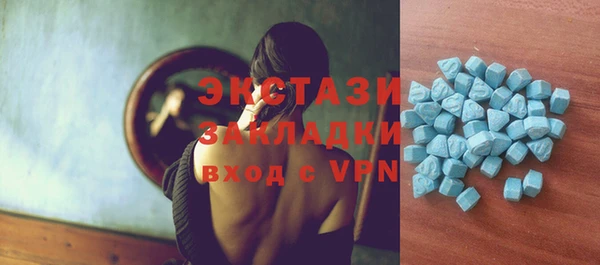 индика Арсеньев