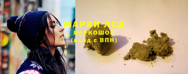 индика Арсеньев