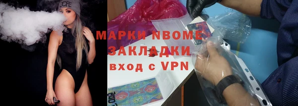 индика Арсеньев