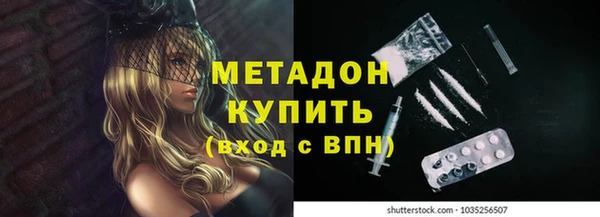 индика Арсеньев