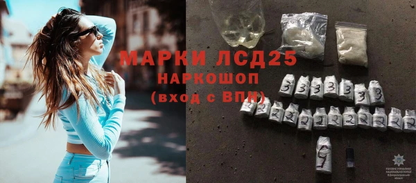 индика Арсеньев