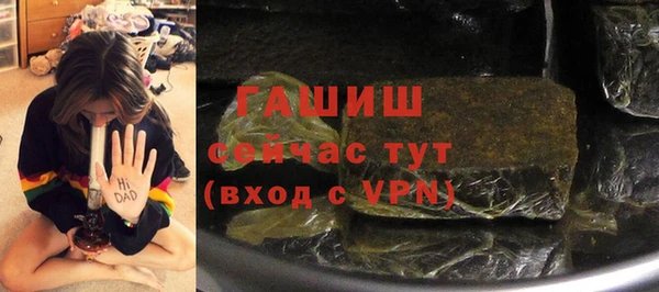 индика Арсеньев