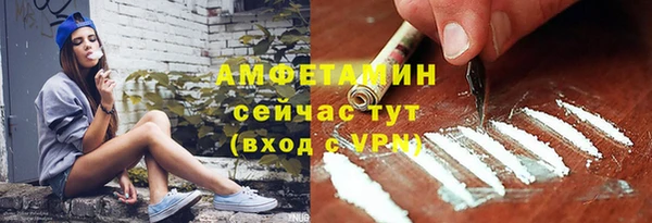 PSILOCYBIN Аркадак