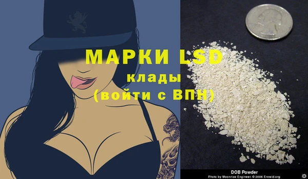 индика Арсеньев