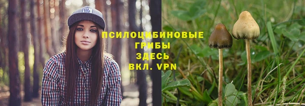 a pvp Пересвет