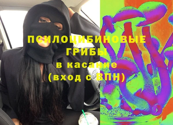 индика Арсеньев